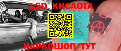 PSILOCYBIN Кинель