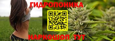 PSILOCYBIN Кинель