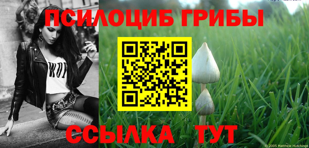 Галлюциногенные грибы мухоморы  Псилоцибиновые грибы Cubensis  дарнет шоп  Вход с VPN  Киселёвск 