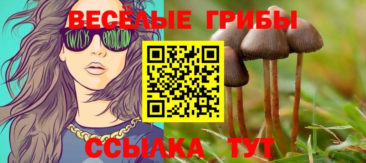 Галлюциногенные грибы MAGIC MUSHROOMS Киселёвск